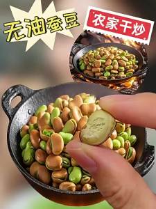 Special Grade Fire Roasted Green Broad Beans Snack