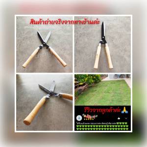 กรรไกรตัดหญ้า กรรไกร CH0033 โปรดอ่านรายละเอียดก่อนสั่งซื้อค่ะ