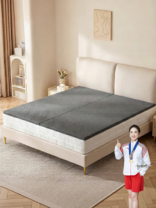 Firm Mattress Pad Foldable Soft-to-hard Spinal Support