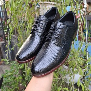 Giày Tây Nam xỏ Dây Da Bụng Cá Sấu 💯From Thiết kế  Thật Sang TRỌNG