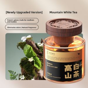 MONLEYTA | 2025 New Edition Long-lasting Car Fragrance White Tea Scent