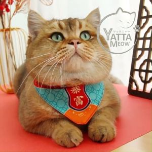 JINGLEBELL Kolar Kucing Chinese Fashion Style Cat/Dog/Pet 24-30CM Triangle Scarf Collar Napkin Style Collar 中国风猫围巾项圈