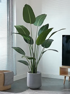 【12H Shopping】 Artificial Plants big size 120/150/180cm artificial plants home display decor plants Artificial Banana  tree plant Fake ficus lyrata Plant For Indoor House Home Wedding Office Decoration
