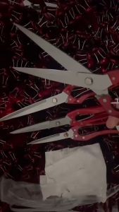 Cukur Bulu Kambing & Domba: Alat Cukur Manual