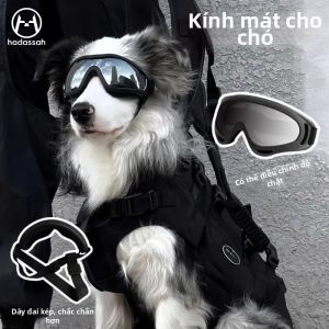 Hadassah | Windproof UV Protection Pet Sunglasses