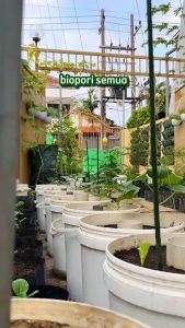 Tabung Pipa Lubang Biopori Panjang 50 cm Bahan PVC