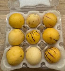 “Fresh Pepino Melon – Mildly Sweet Juicy & Refreshing Fruit”人参果沙漠之水果增强体抗力润肠水果