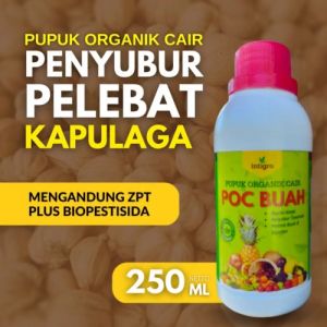 Pupuk Kapulaga: Meningkatkan Produksi dan Kualitas Buah