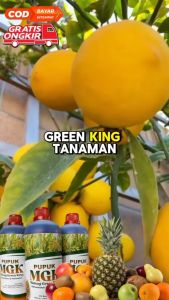 Pupuk Malang Green King (MGK) Original 1 Liter: Menyuburkan Pertumbuhan Tanaman Keseluruh Akar Batang Daun Bunga