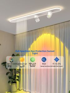 oaArtstandard | High Quality Ambient Light