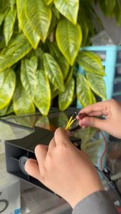 Alarm Atret Viral 3 Suara Arab Sulawesi 12/24V Klakson Rem Mundur Motor Mobil Bis Truk Universal