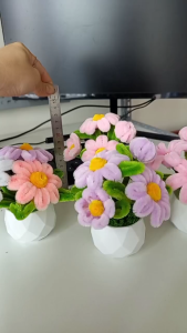 CHẬU HOA KẼM NHUNG MINI SIÊU XINH – TRANG TRÍ BÀN HỌC BÀN LÀM VIỆC