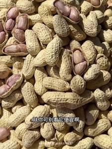 ZUIYUGE | In-Shell Garlic & Five-Spice Peanuts