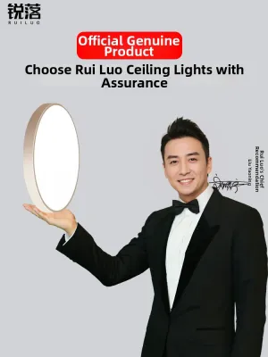 RUILUO | Modern and Luxurious Ceiling Light with High Brightness and Installation Service
