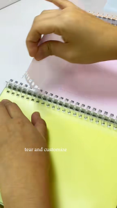 Limelight A5 B5 A4 5 Subject Binder Notebook