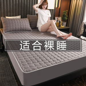 Thickened Cotton Bed Canopy Single Piece Mattress Protector Dustproof Slipproof Bedding Cover Polyester Fiber Quilted Bed Skirt