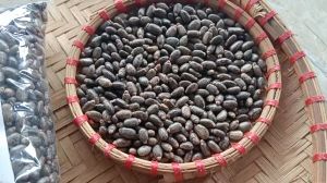 1kg hạt thầu dầu sấy khô