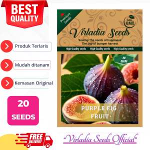 [Virladia Seeds] Biji Benih tanaman Buah Ara | Tin Ungu