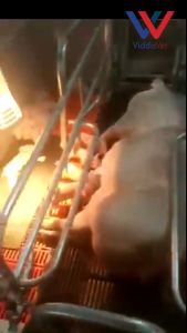 100W High-Quality Infrared Heat Lamp Bulb for Animals - ViddaVet