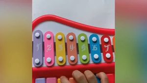 Musical 2in1 Kids Xylophone Five Tone Vocal Piano For Early Educational Learning Kids Toddler Toys Gifts