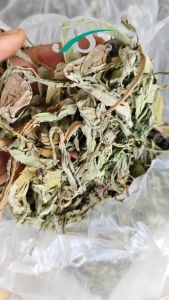 Daun Tempuyung Kering 500 Gram: Teh Herbal Untuk Atasi Batu Ginjal & Kandung Kemih