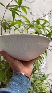 (MỚI) Tô mưa sao băng sứ trắng màu pastel - Tô canh salad - Bát đĩa Sứ nhà hàng cao cấp