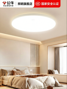 Bull | Ceiling Light Installation and Removal Service Circular Modern Simple