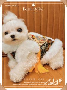 Fleece Lined Cotton Clothes for Small Dogs And Cats Princess Style New Years Clothes Perfect for Autumn Winter And Spring