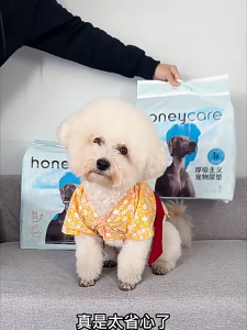 Honeycare / Honey Care Thick Absorbent Pet Training Pad Dog Pee Pad