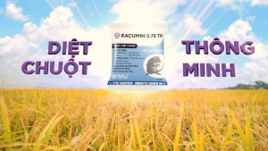 Sản phẩm kiểm soát chuột sinh học Racumin 0.75TP