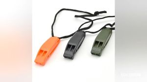 2/4/10 Pcs Bird Whistle Set: Perfect Training Tool for Your Birds