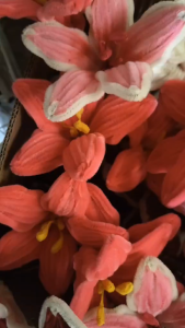 Fuzzy Wire Single Stem Lily Onhand Ready to Ship