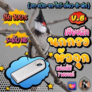 เสียงฝึกนกกรงหัวจุก V.6 ของยอดเชิด สีอัก ชัด เสียงใส ไม่มีโฆษณาแทรก พร้อมส่ง เก็บเงินปลายทาง มีเครื่องมือการเสริมจมูกแทรก ราคาที่ยอดเยี่ยม