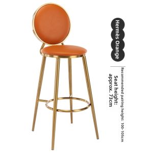 Luxury Nordic Style Bar Stool With Backrest
