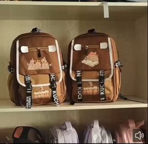 CapyBara backpack with large capacity multi-layer multi-functional dirt resistant backpack for elementary school students going out boys and girls backpack external USB charging port design for backpack