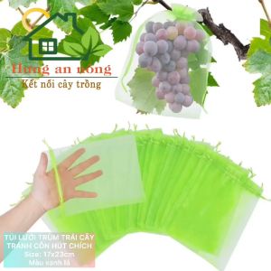 Túi lưới trùm trái cây tránh côn trùng hút chích đựng quà tặng túi thơm size 15x20cm 17x23cm ( xem trong mô tả )