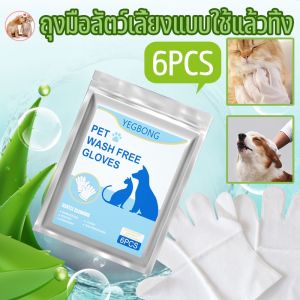 BHQ PET ถุงมือสัตว์เลี้ยงที่ได้รับการใช้จริง 6pcs