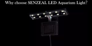 12 LED พิพิธภัณฑ์สัตว์น้ำ คลิปหนีบถังปลา พืชน้ำ เติบโต แสงสีขาว EU