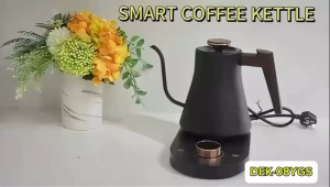 DAEMA 0.8L ELECTRIC KETTLE DEK-08YGS