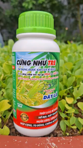 [VTNN TIEN KHOA] Phân bón lá CỨNG NHƯ TRE chuyên dùng lúa nếp mập cọng ngắn lóng cứng cây tuột lá ủ chống đổ ngã chai 500ml_VTNN TIEN KHOA