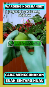 09 VIDEO CARA MENGGUNAKAN BUAH BINTARO HIJAU.mp4