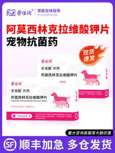 Amoxicillin Potassium Clavulanate Dụng Cụ Trị Bụt Hô Hấp Cho Mèo And Đồ Chó Dùng Để Điều Trị Cảm Cúm Và Ho Cho Chó Và Mèo