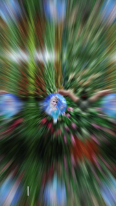 Balon  Foil Ulang Tahun Bulat Karakter anak Amoung Us Paw Patrol Cocomelon satuan