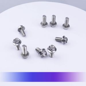 Hex Flange Bolt M5 M6 M8  304 Stainless Steel Allen Bolts GB5789 Skru Spanner SHINY SURFACE DIY