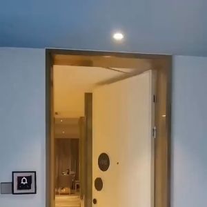 Tay co tự đóng cửa thế hệ mới lắp âm chịu tải trọng lên tới 30-80kg (LA3256-bằng hợp kim nhôm và inox 304)