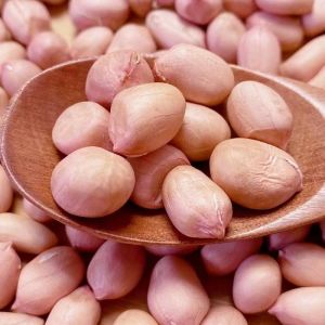 New Peanuts for Oil Extraction 5 Pounds