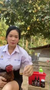 ชุดเลี้ยงไก่ ซุปเปอร์เอ๊ก