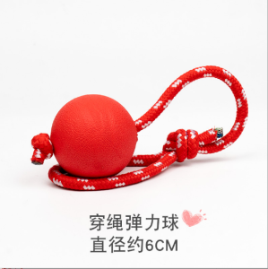 Durable Rubber Dog Toy Solid Biting Resistant Interactive Pet Ball for Teddy Golden Retriever Puppies Training And Fun