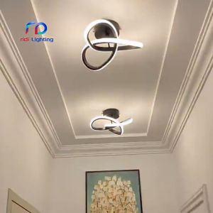 【RIDI】Ceiling lamps creative personality hallway lights corridor lights entryway balcony lights bedroom lights American simple Nordic lamps