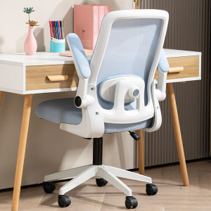 Ergonomic Study Chair Computer Desk Office Chair Home Use Comfortable Human Engineering Library Desk Student Chair